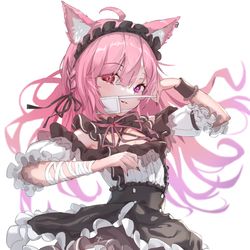This is a pixiv picture whose title is ねここ.