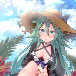 This is a pixiv picture whose title is 水着山風.