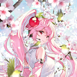 This is a pixiv picture whose title is 桜ミク.