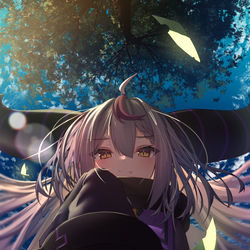 This is a pixiv picture whose title is ラプラス.