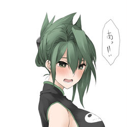 This is a pixiv picture whose title is かぜのいたずら.