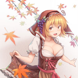 This is a pixiv picture whose title is ディアンドル.