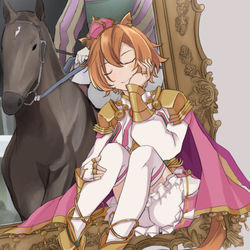 This is a pixiv picture whose title is 5.17.