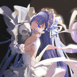 This is a pixiv picture whose title is メルトリリス.