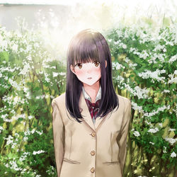 This is a pixiv picture whose title is ユキヤナギ.