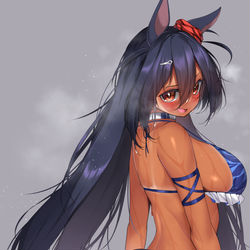 This is a pixiv picture whose title is 水着ヒシアマ姐さん.
