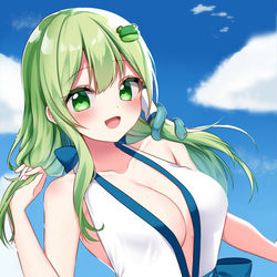 This is a pixiv picture whose title is 早苗さん.