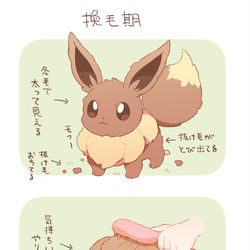 This is a pixiv picture whose title is 換毛期のイーブイ４コマ.