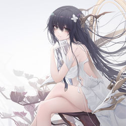 This is a pixiv picture whose title is Indomitable.