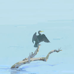 This is a pixiv picture whose title is 羽干し.