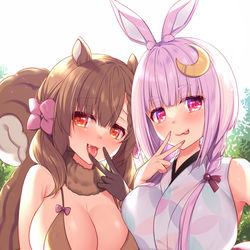 This is a pixiv picture whose title is チルちゃん＆月兎さま.