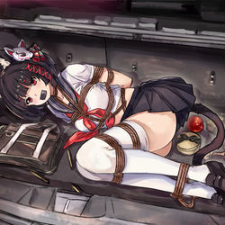 This is a pixiv picture whose title is 【Request】山城被装进了后备箱.