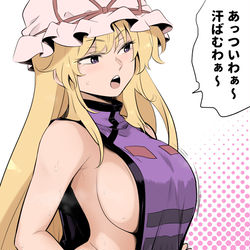 This is a pixiv picture whose title is 東方詰め合わせ.
