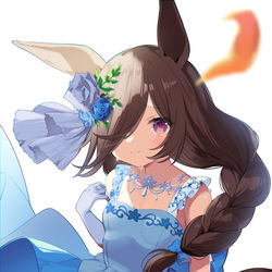 This is a pixiv picture whose title is 花嫁ライス.
