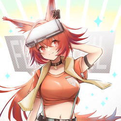 This is a pixiv picture whose title is フレイムテイル.