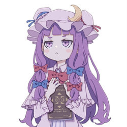 This is a pixiv picture whose title is パチュリーの日.