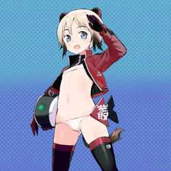 This is a pixiv picture whose title is censored？.