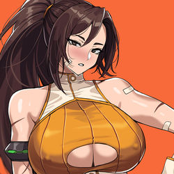 This is a pixiv picture whose title is 던 격투가.