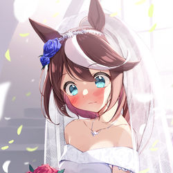 This is a pixiv picture whose title is 花嫁テイオー.