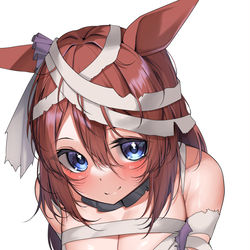 This is a pixiv picture whose title is スーパークリーク（シフォンリボンマミー）.