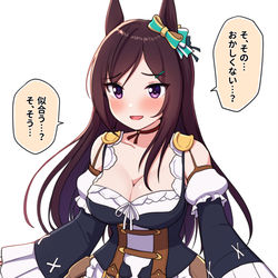 This is a pixiv picture whose title is 好きなウマ娘に好きな勝負服を着せたいだけだった絵.