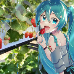 This is a pixiv picture whose title is ミクさんと いちご狩り🍓.