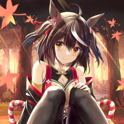 This is a pixiv picture whose title is キタサンブラック.