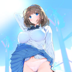 This is a pixiv picture whose title is たわわなパンチラ.