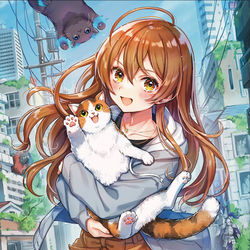 This is a pixiv picture whose title is 頼れる三毛猫✨.