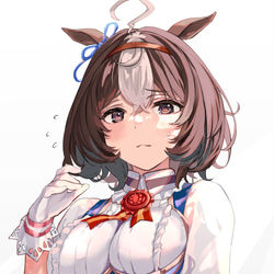 This is a pixiv picture whose title is メイショウドトウ.