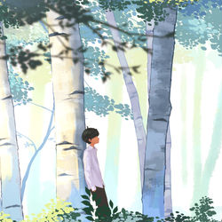This is a pixiv picture whose title is 白樺.