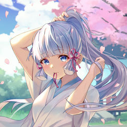 This is a pixiv picture whose title is 神里綾華.