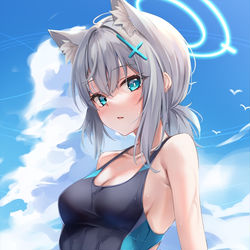 This is a pixiv picture whose title is シロコ.