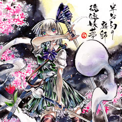 This is a pixiv picture whose title is 魂魄妖夢.