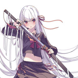 This is a pixiv picture whose title is 白髪黒セーラー刀.
