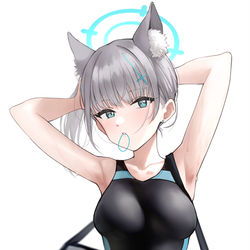 This is a pixiv picture whose title is シロコ.