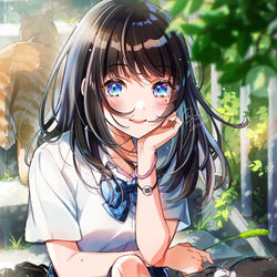 This is a pixiv picture whose title is 初夏ののら猫.