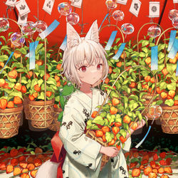 This is a pixiv picture whose title is physalis.