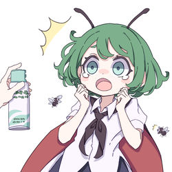 This is a pixiv picture whose title is リグル.