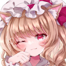 This is a pixiv picture whose title is ねこフランちゃん.