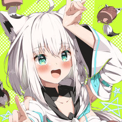 This is a pixiv picture whose title is フブキ.
