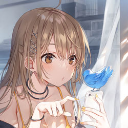 This is a pixiv picture whose title is あおいとり／twitterはじめました.