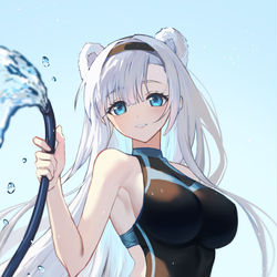 This is a pixiv picture whose title is 极光.