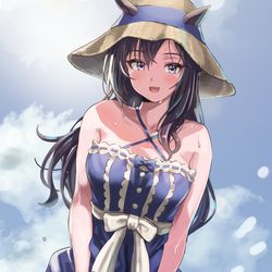 This is a pixiv picture whose title is メジロドーベル夏.