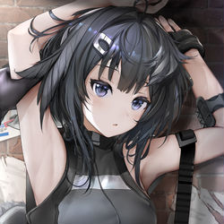 This is a pixiv picture whose title is La Pluma.