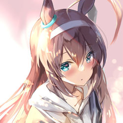 This is a pixiv picture whose title is ミホノブルボン.