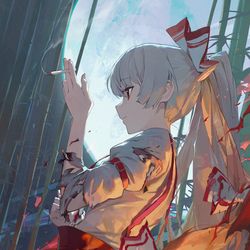 This is a pixiv picture whose title is 80日目,藤原妹紅.