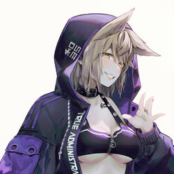 This is a pixiv picture whose title is True Administrator.