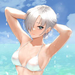This is a pixiv picture whose title is ビキニ佐紹さん.