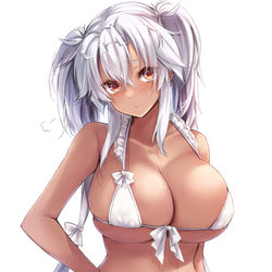 This is a pixiv picture whose title is 面積少ないフリフリ水着の武蔵しゃん.